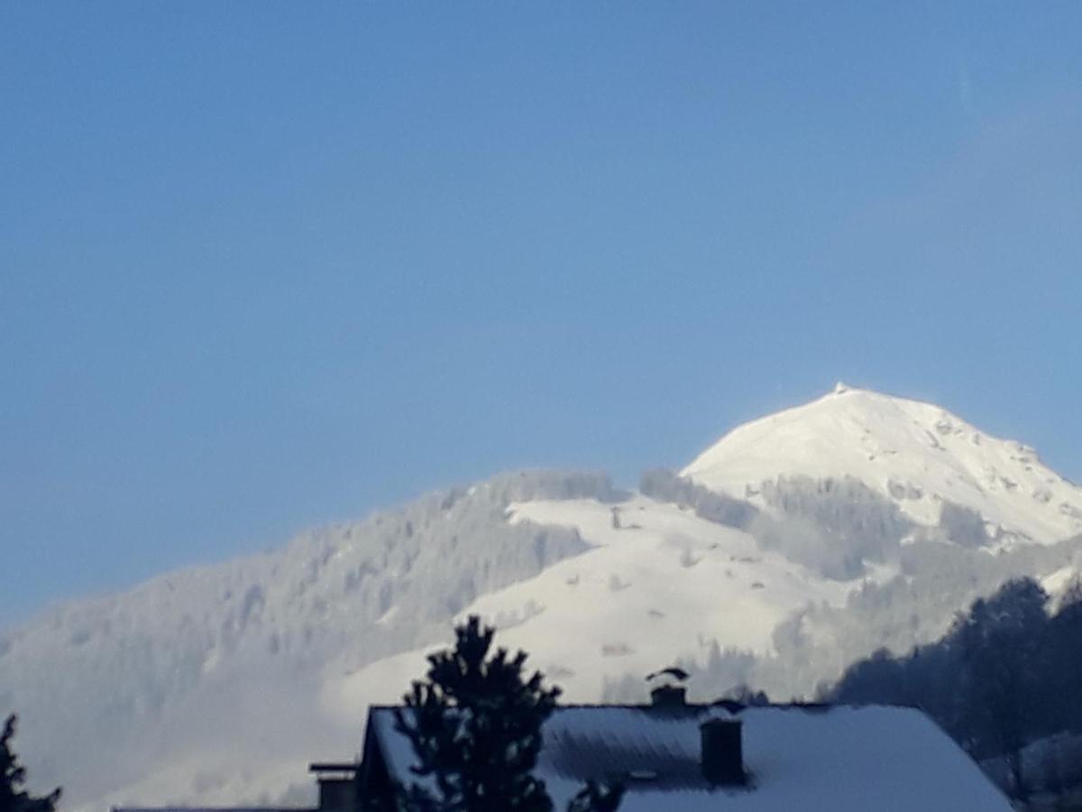 Haus Erika Apartment Brixen im Thale Bagian luar foto