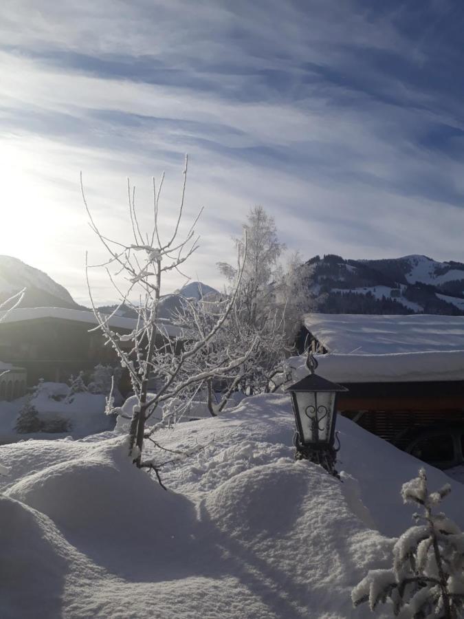 Haus Erika Apartment Brixen im Thale Bagian luar foto